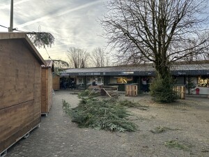 IMG_1298