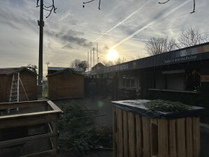 IMG_1301