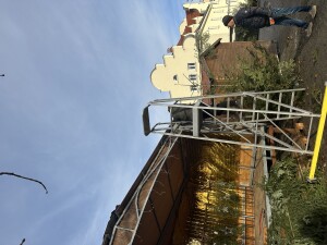 IMG_1303