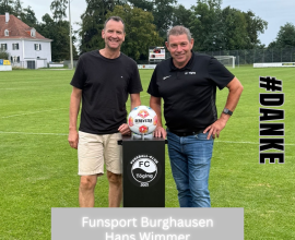 Kopie von Spielballsponsor