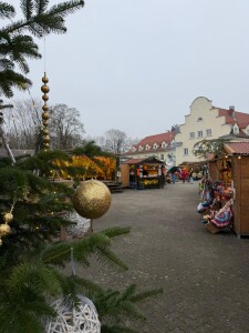 0321c467-d440-4428-b2f4-f27f0c3c27ed